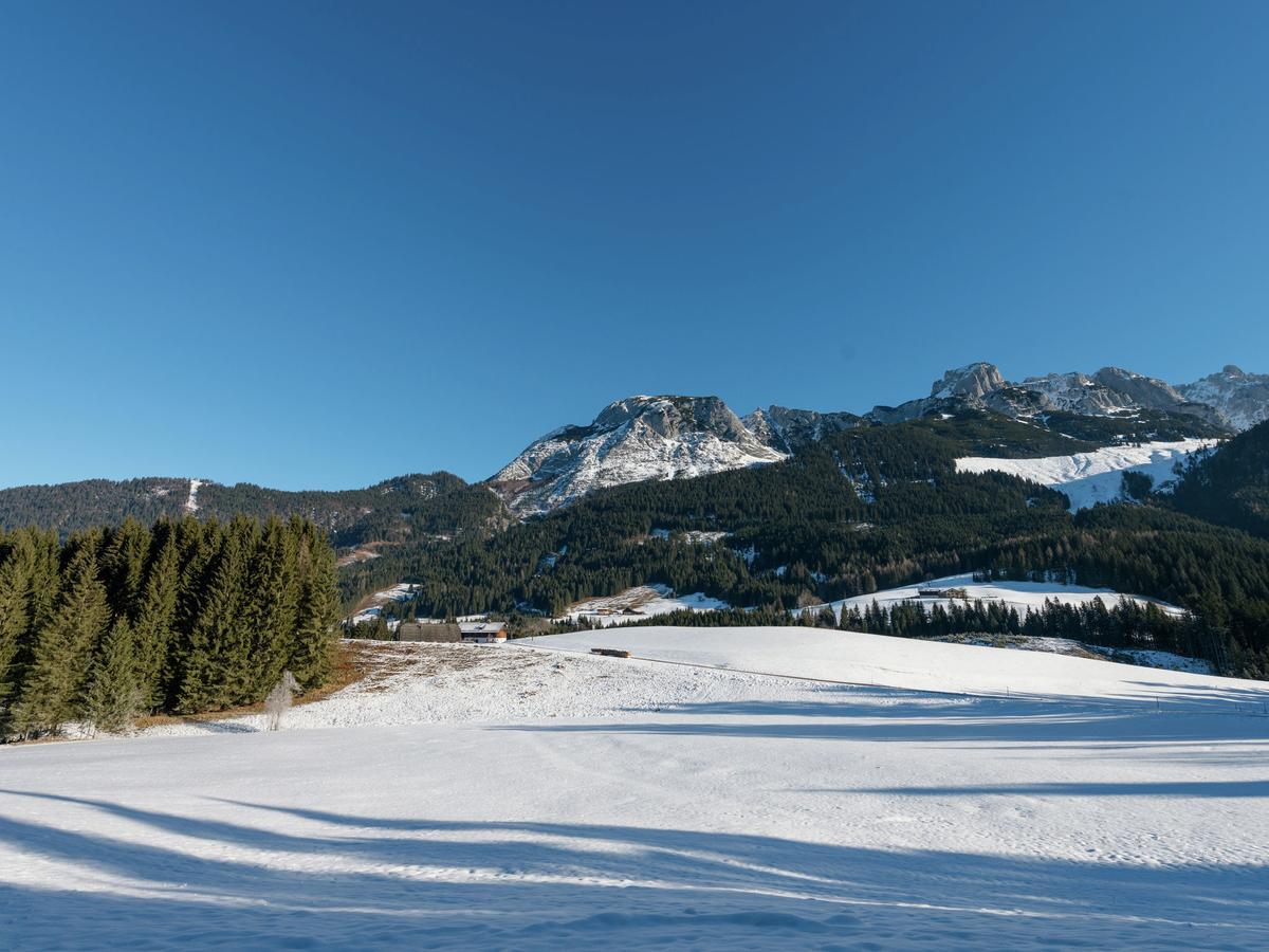 Chalet In Annaberg-Lungoetz With Shared Sauna Villa ภายนอก รูปภาพ